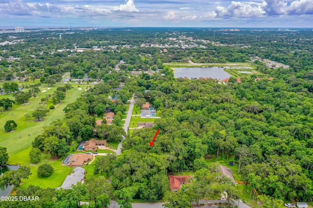 3 Timber Trl, Holly Hill, FL 32174 - photo 7