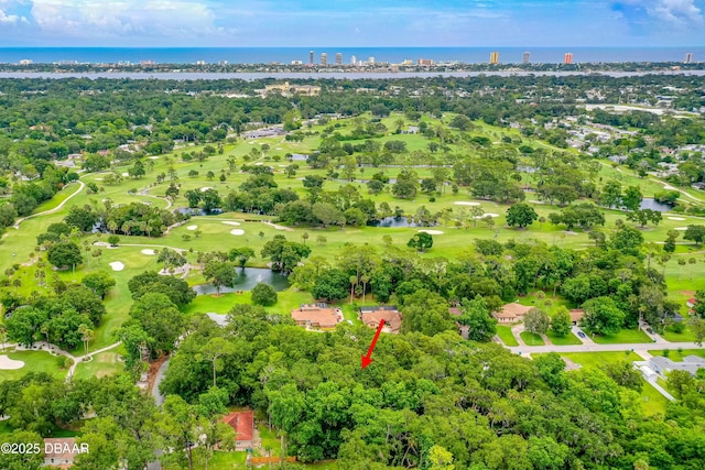 3 Timber Trl, Holly Hill, FL 32174 - photo 8
