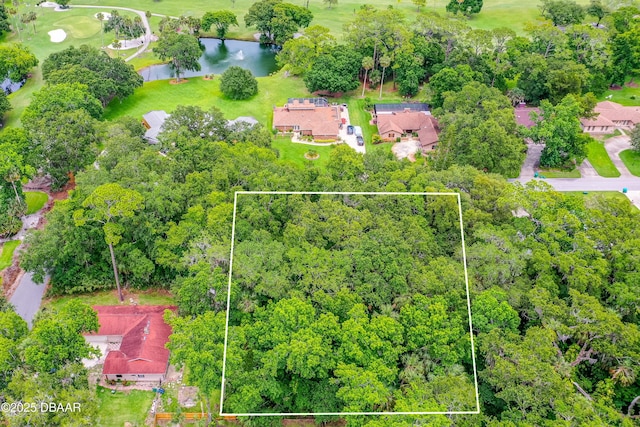 3 Timber Trl, Holly Hill, FL 32174 - photo 1
