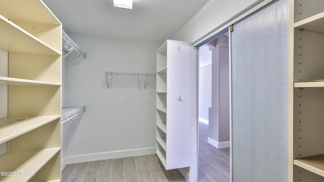 51 Bay Pointe Dr, Ormond Beach, FL 32174 - walk in closet with hardwood / wood-style floors