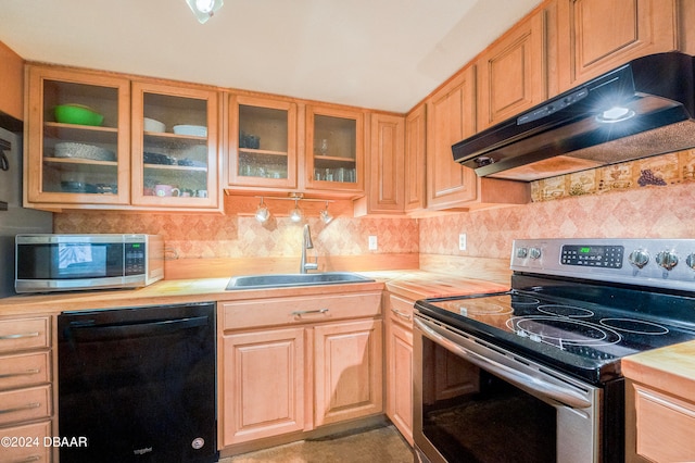 kitchen with sink, wood counters, and stainless steel appliances