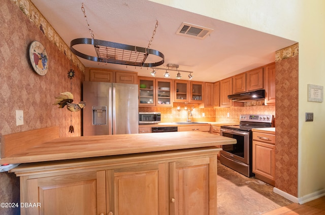 kitchen featuring kitchen peninsula, stainless steel appliances, sink, and wood counters