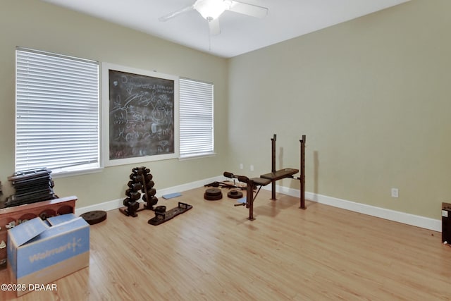 exercise room featuring ceiling fan and light hardwood / wood-style flooring