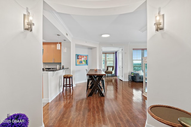 dining room with ornamental molding and dark wood-type flooring