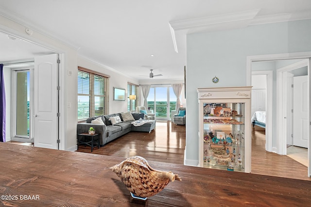 living room featuring wood-type flooring, ceiling fan, and crown molding