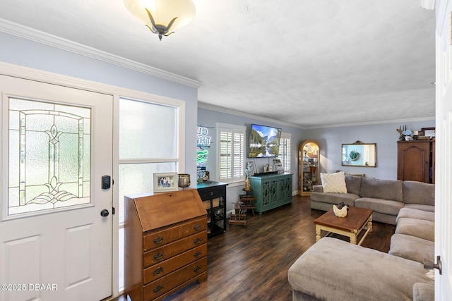 552 Hamlet Dr, Port Orange, FL 32127 - living area featuring dark wood finished floors and ornamental molding