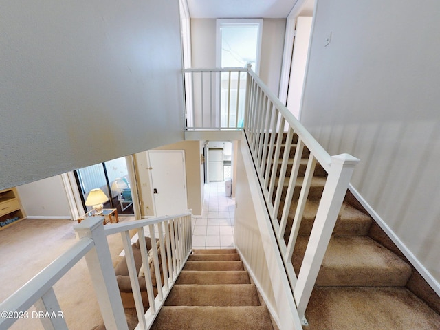 staircase featuring carpet floors