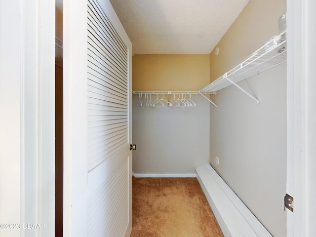 walk in closet with carpet