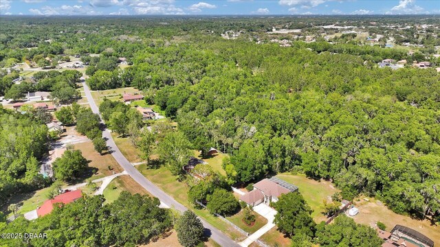 305 Country Circle Dr E, Port Orange, FL 32128 - photo 47