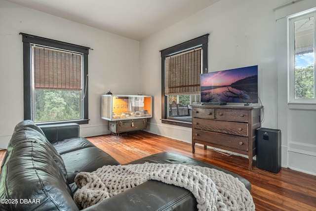 living room featuring hardwood / wood-style flooring