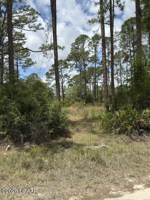 2124 E Pkwy, Deland, FL 32724 - photo 8