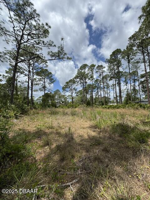 2124 E Pkwy, Deland, FL 32724 - photo 4