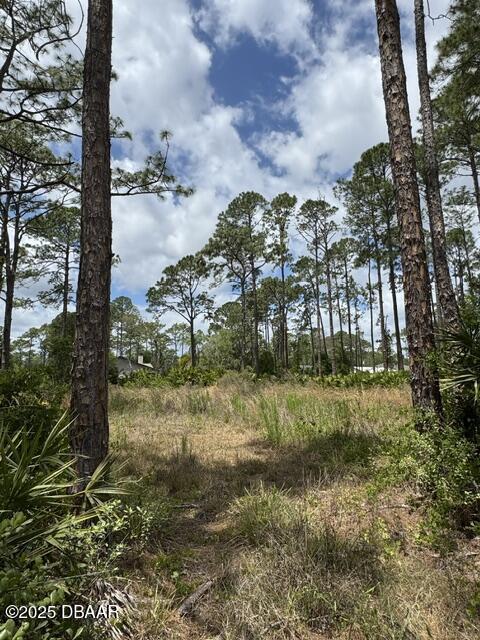 2124 E Pkwy, Deland, FL 32724 - photo 7