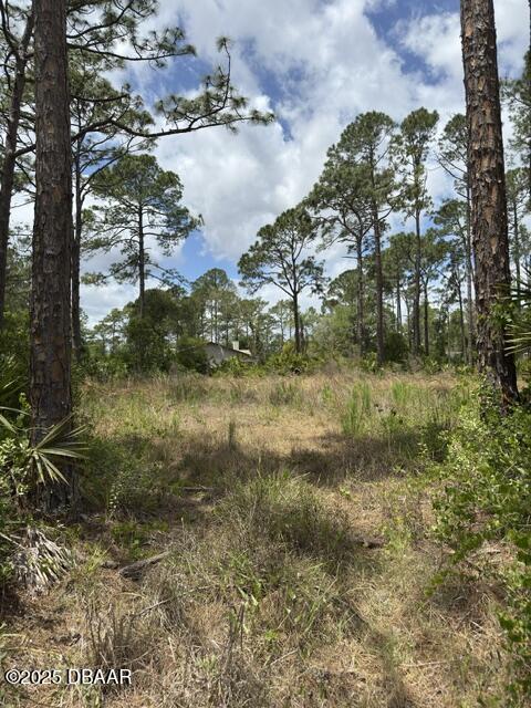2124 E Pkwy, Deland, FL 32724 - photo 3