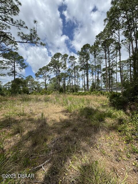 2124 E Pkwy, Deland, FL 32724 - photo 5