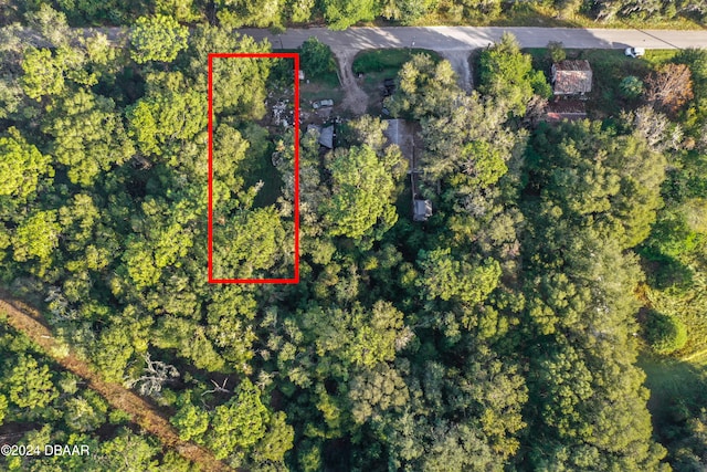 353 Sisco Dirt Rd, Satsuma FL, 32189 land for sale