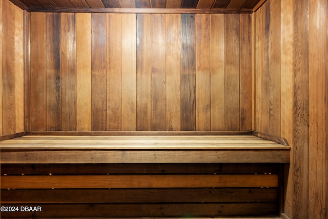 view of sauna / steam room featuring wood walls and wood ceiling