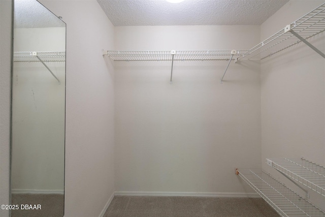 20 Tomoka Ave Unit 1020, Ormond Beach, FL 32174 - photo 19