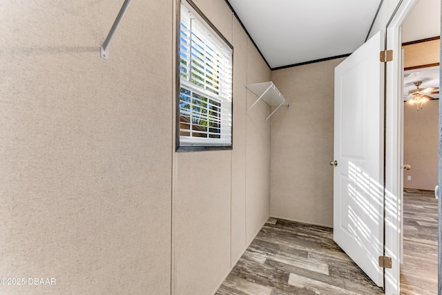 spacious closet with wood finished floors