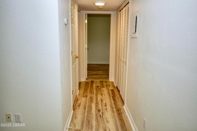 hall with light wood-type flooring