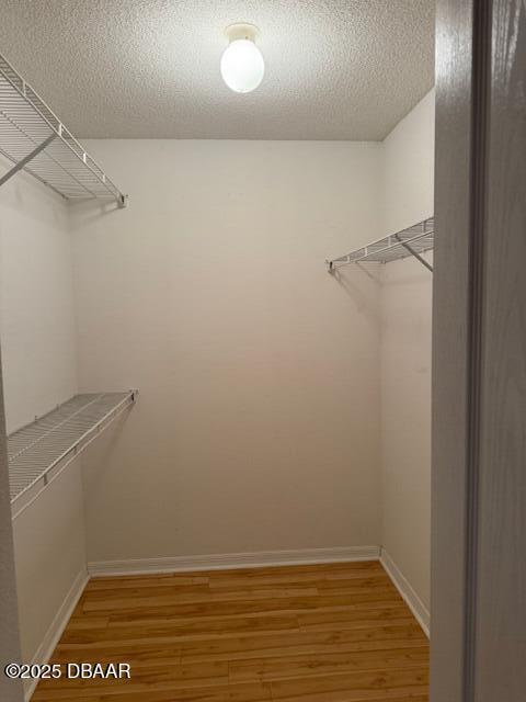 107 Beacon Mill Ln, Palm Coast, FL 32137 - spacious closet with light wood-type flooring
