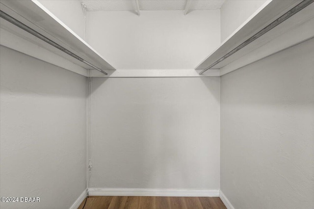 spacious closet featuring dark hardwood / wood-style floors