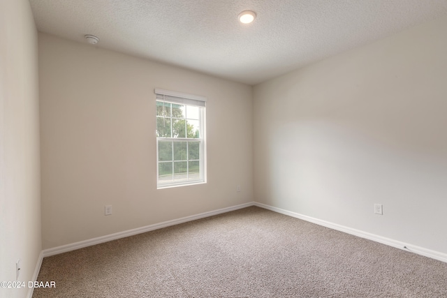 empty room featuring carpet and a textured ceiling