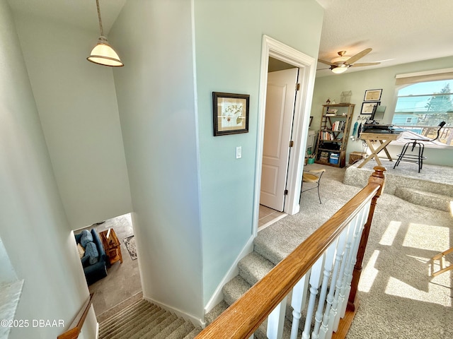 1811 N Central Ave, Flagler Beach, FL 32136 - hall featuring baseboards and carpet flooring