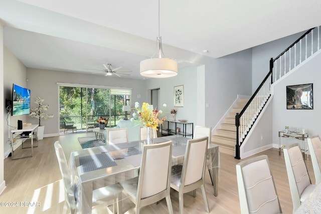 dining area with light hardwood / wood-style floors and ceiling fan