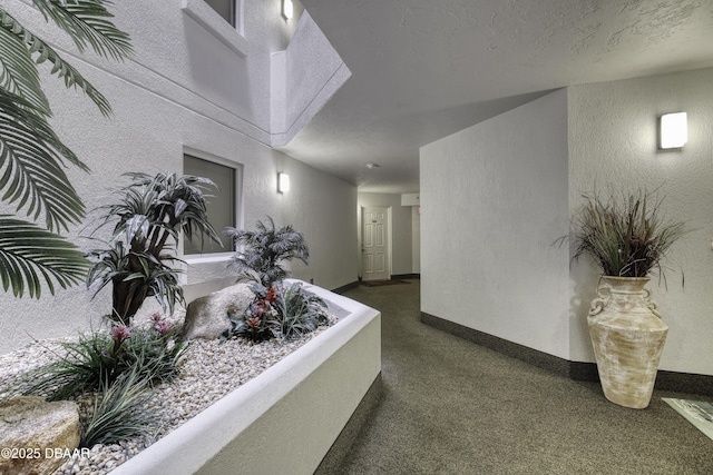 1 John Anderson Dr Unit 103, Ormond Beach, FL 32176 - hall with a textured wall, a textured ceiling, and dark carpet