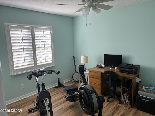 office area with ceiling fan, light hardwood / wood-style floors, and a textured ceiling