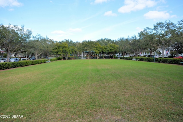 view of home's community with a yard