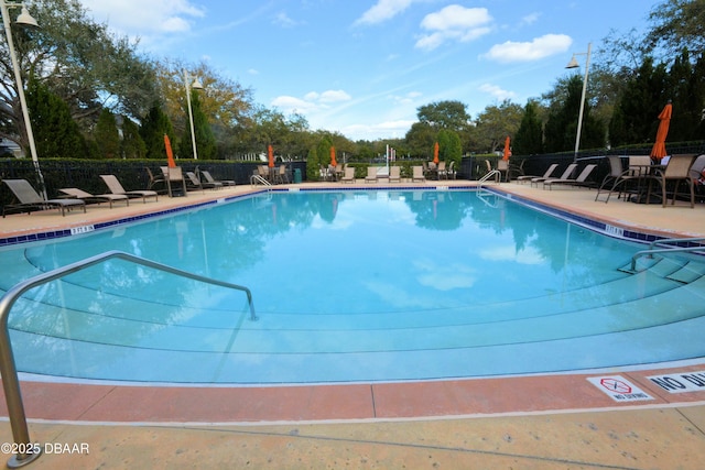 view of swimming pool