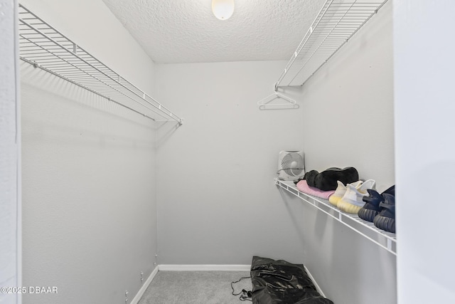 spacious closet with carpet