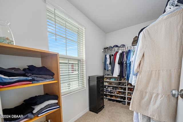 walk in closet with carpet floors