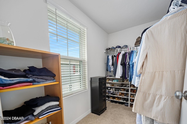 walk in closet featuring carpet flooring