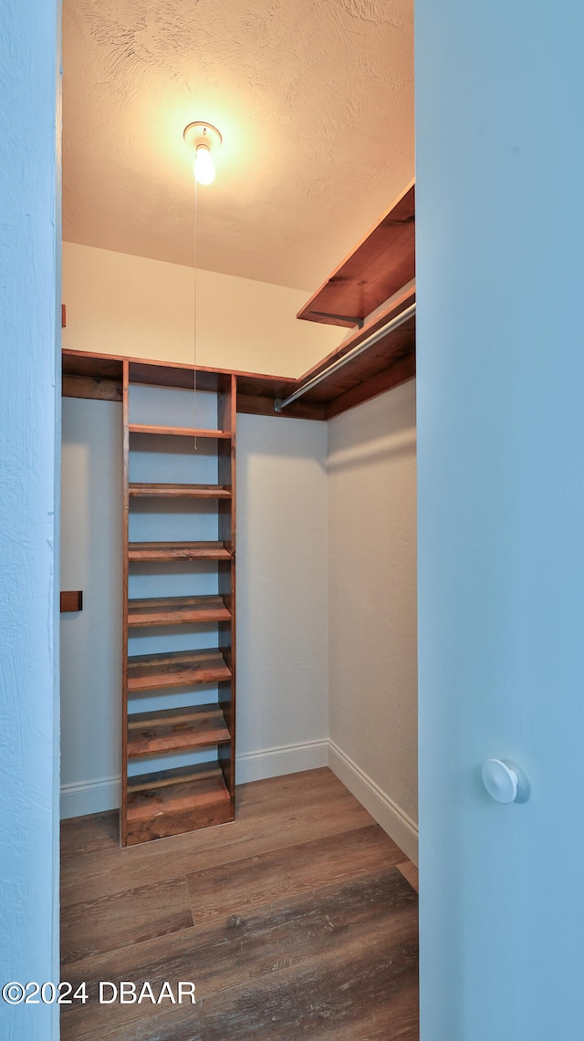 walk in closet featuring wood-type flooring