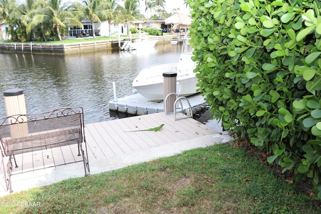 dock area with a water view