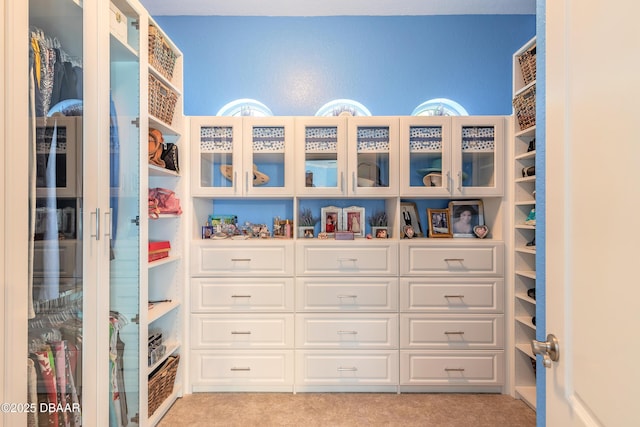 20 Promenade At Lionspaw, Daytona Beach, FL 32124 - walk in closet featuring light colored carpet