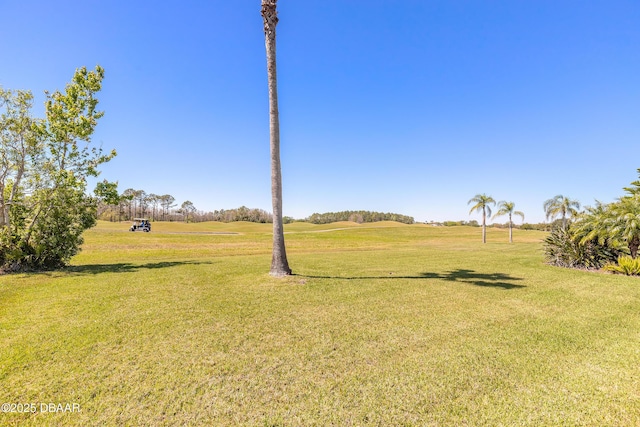 20 Promenade At Lionspaw, Daytona Beach, FL 32124 - view of yard