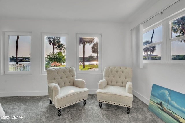 sitting room featuring carpet flooring