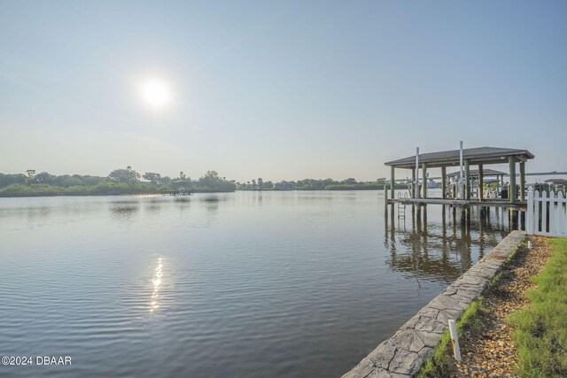 dock area with a water view