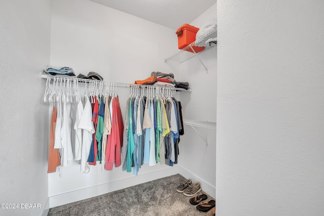 spacious closet with carpet