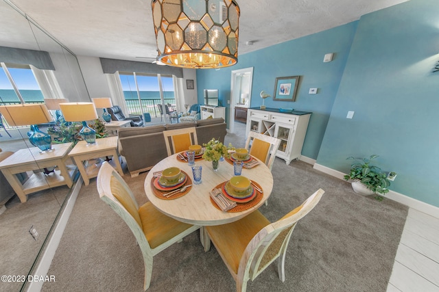 dining room with a wealth of natural light, a textured ceiling, and carpet