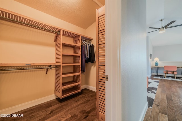 walk in closet featuring ceiling fan and dark wood-type flooring