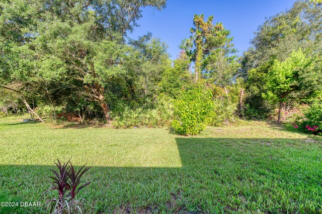 6023 Spruce Point Cir, Port Orange, FL 32128 - photo 41