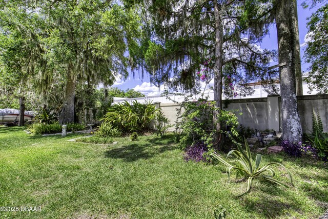 1408 Mollie Rd, Daytona Beach, FL 32114 - view of yard