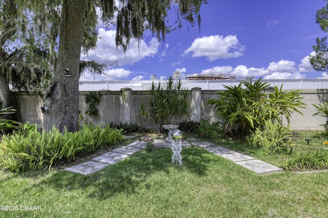 1408 Mollie Rd, Daytona Beach, FL 32114 - view of yard