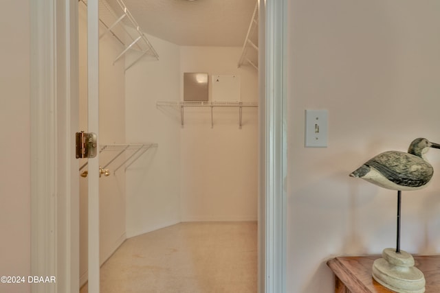 walk in closet with light colored carpet