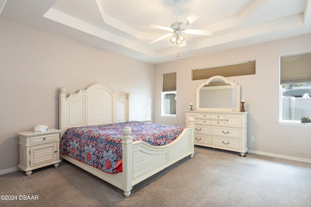 carpeted bedroom with ceiling fan, a raised ceiling, and multiple windows